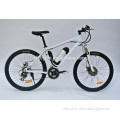 MTB electric mountain bike full suspension electric bike with lithium battery
